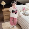 Yangmei velvet · Pillowcases, table flags, cross-border fabric, multi-purpose home decoration Application Scenario